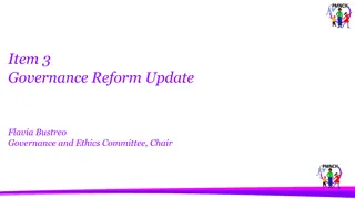 Governance Reform Update and Priorities Summary for PMNCH