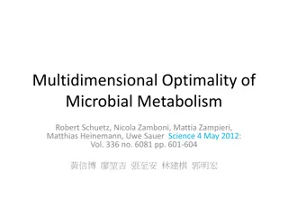 Multidimensional Optimality of Microbial Metabolism