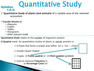 Quantitative Study of Plants and Animals Ecosystem Using Quadrats