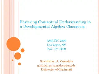 Developmental Algebra Classroom: Fostering Conceptual Understanding