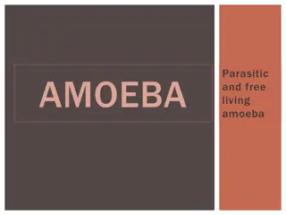 Overview of Amoebae: Parasitic and Free-Living Varieties