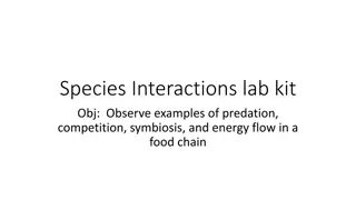 Exploring Species Interactions in a Lab Setting