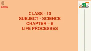 Understanding Life Processes and Nutrition in Living Organisms