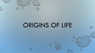 Evolutionary Journey: From Spontaneous Generation to Endosymbiont Theory