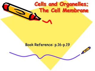 Cell Membrane Structure and Proteins