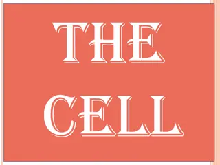 Cell Biology: The Building Blocks of Life