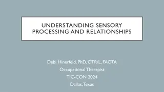 Understanding Sensory Processing and Relationships: Exploring Individual Differences