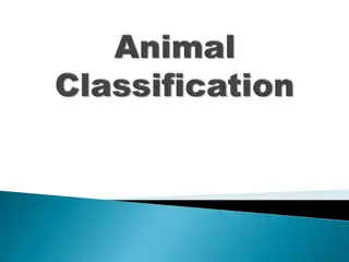 Understanding the Classification of Living Organisms