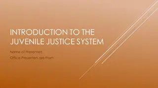 The Juvenile Justice System: A Comprehensive Overview