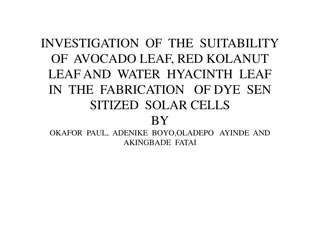 Investigation of Avocado, Red Kolanut, and Water Hyacinth Leaves for Dye Sensitized Solar Cells