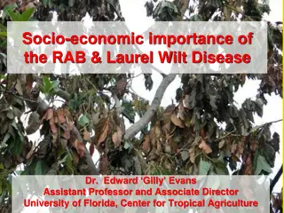 Economic Impact of Laurel Wilt Disease on Local Agriculture