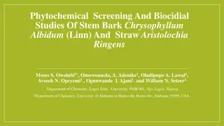 Phytochemical Screening and Biocidal Studies of Chrysophyllum Albidum and Aristolochia Ringens