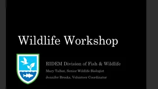 Wildlife Workshop: Assessing Potential Species in Habitats