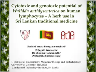 Cytotoxic and Genotoxic Potential of Walidda Antidysenterica on Human Lymphocytes: A Study in Sri Lankan Traditional Medicine