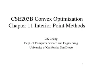 Convex Optimization: Interior Point Methods Formulation