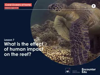 Impact of Human Activities on the Great Barrier Reef