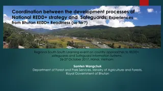 Coordination Between National REDD+ Strategy and Safeguards in Bhutan: Experiences and Challenges