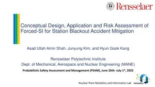 Conceptual Design and Risk Assessment of Forced Safety Injection for Station Blackout Accident Mitigation