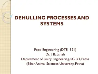 Dehulling Processes and Systems in Food Engineering