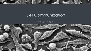 Cell Communication: Signaling Mechanisms and Types