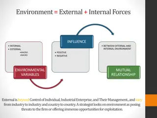 The Impact of Internal Environment Components on Business Decisions