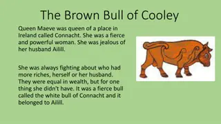 The Brown Bull of Cooley: Queen Maeve's Quest