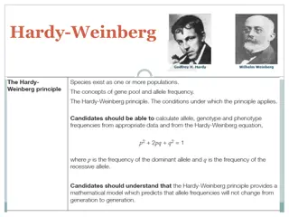 Hardy-Weinberg Principle and Genetic Frequencies