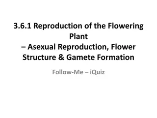 Understanding Vegetative Propagation in Flowering Plants