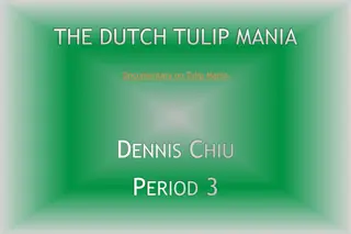 Dutch Tulip Mania in the 17th Century: A Historical Overview