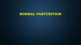 Understanding Normal Parturition: The Stages and Processes