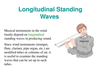 Longitudinal Standing Waves in Musical Instruments and the Human Ear Canal