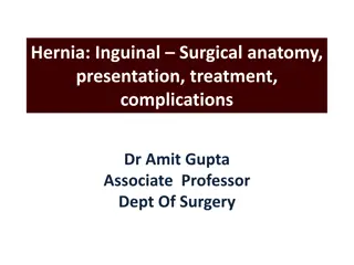 Comprehensive Overview of Inguinal Hernia: Anatomy, Presentation, and Treatment