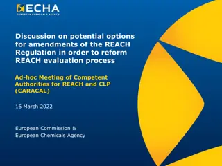 Potential Amendments for Reforming REACH Evaluation Process