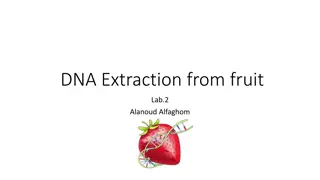 DNA Extraction from Fruit Lab: Strawberry Extraction Method