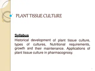 Plant Tissue Culture: Historical Development, Techniques, and Applications