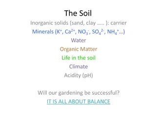 Understanding Soil Life: The Key to Successful Gardening