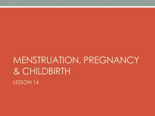 Menstruation, Pregnancy, and Childbirth Lesson 14