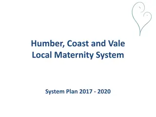 Humber Coast and Vale Local Maternity System Plan 2017-2020