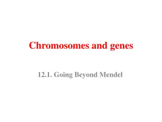 Genetic Inheritance: Going Beyond Mendel