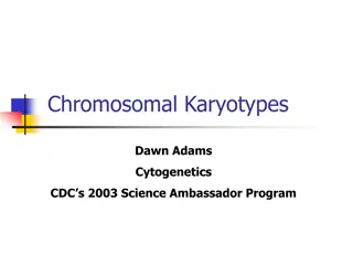 Chromosomal Karyotypes: An Overview