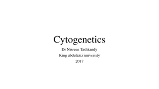 Understanding Chromosome Territories in the Nucleus