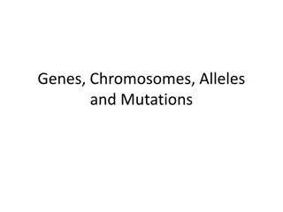 Genes, Chromosomes, Alleles, and Mutations in DNA