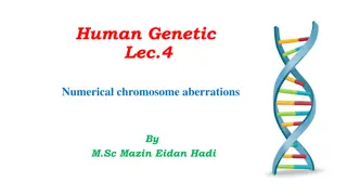 Numerical Chromosome Aberrations in Humans