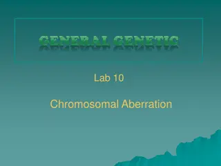 Understanding Chromosomal Aberrations and Mutations in Genetics