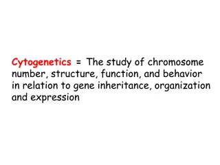 Understanding Cytogenetics: The Study of Chromosomes and Genes