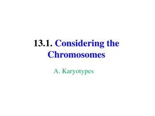 Understanding Chromosomal Abnormalities and Syndromes