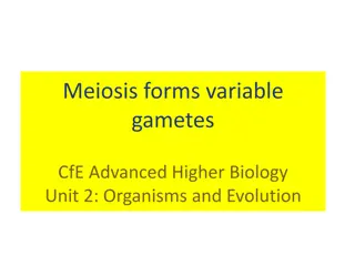 Meiosis and Genetic Variation in Organisms