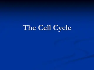 The Cell Cycle: Growth, Division, and Reproduction