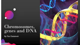 Understanding Chromosomes, Genes, and DNA in Genetics