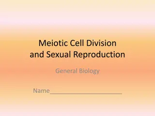 Meiotic Cell Division and Sexual Reproduction in General Biology